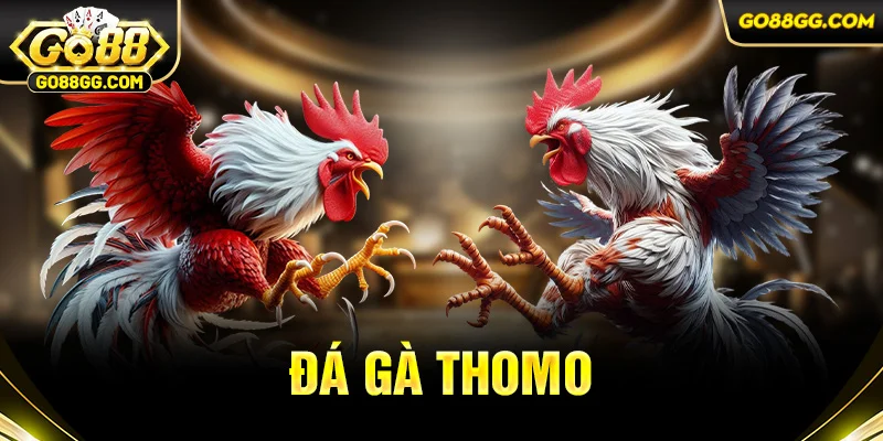 Đá gà thomo