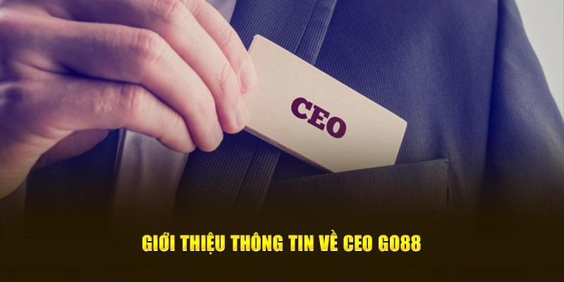 Giới thiệu thông tin về CEO GO88